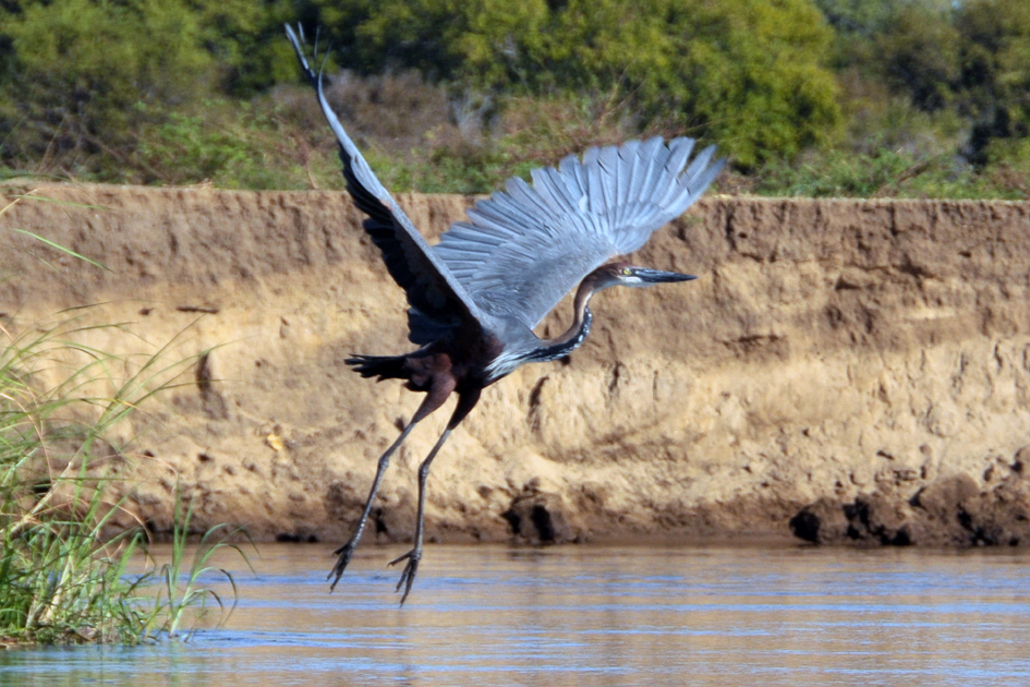 Kanosafari - Zimbabwe